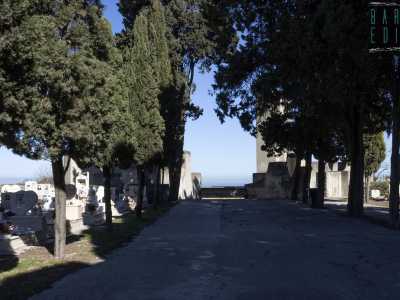 Oltrepassato un arco ci ritroviamo dinanzi a un viale alberato che si fa spazio tra le tombe... 